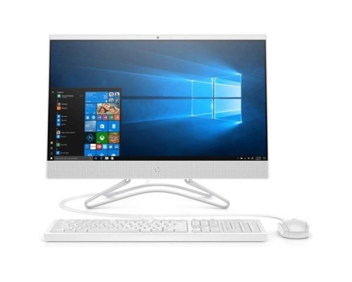 Моноблок HP 205 G4 All-in-One NT 21,5