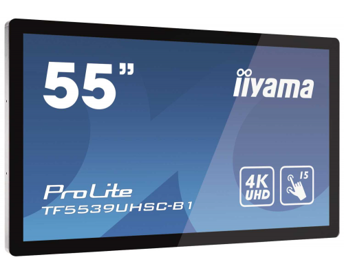Интерактивная панель Iiyama 55