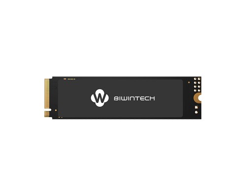 Накопитель SSD M.2 2280 Biwintech 82P1B0#G