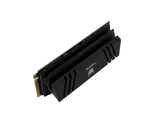 Накопитель SSD Acer Predator M.2 2280 BL.9BWWR.105