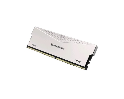 Модуль памяти DDR5 Acer Predator Pallas II BL.9BWWR.383