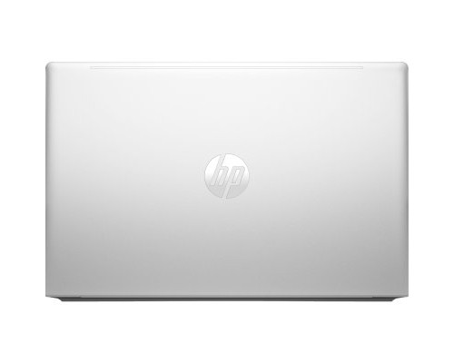 Ноутбук HP ProBook 450 G10 817S9EA