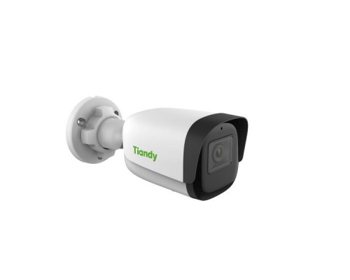 Камера видеонаблюдения IP TIANDY TC-C34WS (I5/E/Y/4MM)