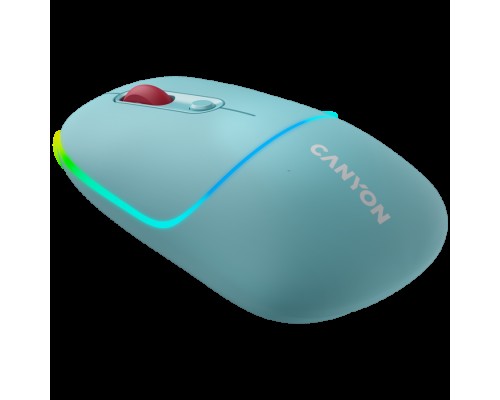 Двухрежимная беспроводная мышь Canyon MW-22 CNS-CMSW22DC