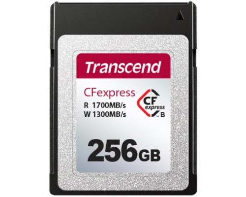 Карта памяти Transcend 256GB TS256GCFE820