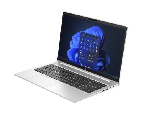 Ноутбук HP ProBook 450 G10 86Q47PA