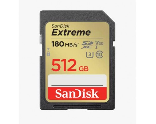Карта памяти SanDisk 512GB UHS-1 SDSDXVV-512G-GNCIN