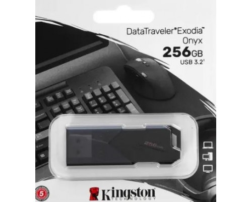 Флэш-накопитель Kingston 256GB DTXON/256GB