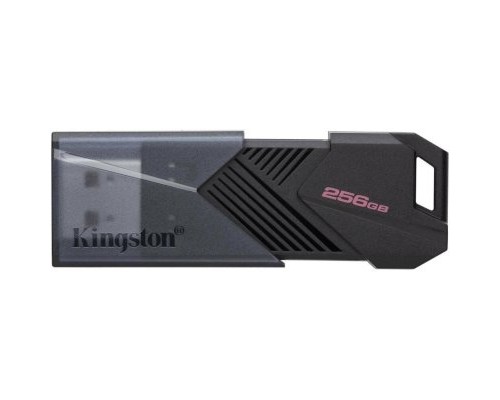 Флэш-накопитель Kingston 256GB DTXON/256GB