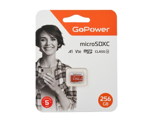 Карта памяти 256GB GoPower 00-00025684