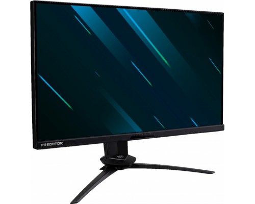 Монитор Acer Predator X25 UM.KX0EE.006