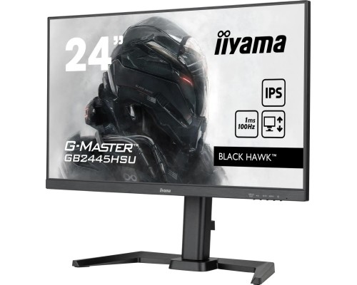 Монитор Iiyama G-Master Black Hawk GB2445HSU-B1