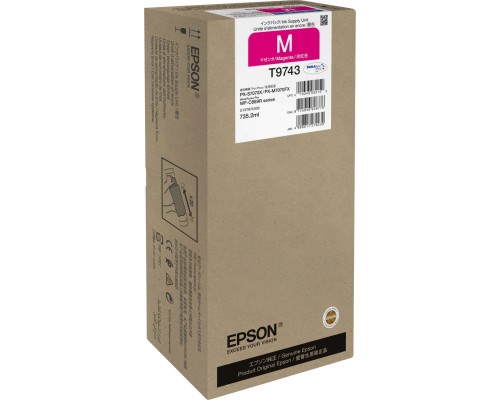 Картридж Epson C13T974300