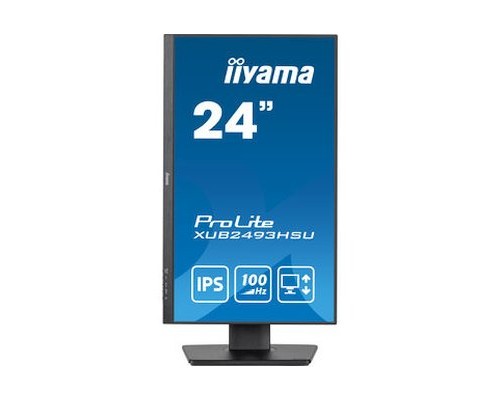 Монитор Iiyama ProLite XUB2493HSU-B6