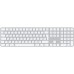 Клавиатура Apple Magic Keyboard MK2C3RS/A