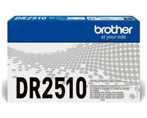 Картридж Brother DR2510