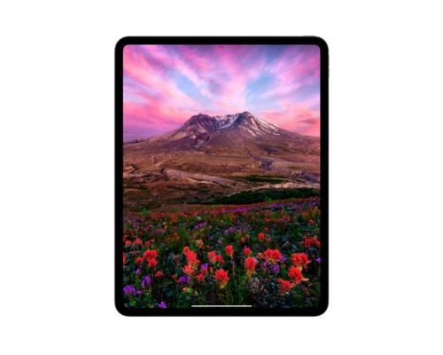 Планшет Apple iPad Pro 2024 13 Wi-Fi Nano 1TB MWRG3LL/A