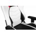 Игровое кресло AKRacing ARCTICA-WHITE