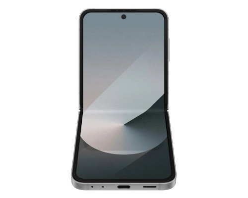 Смартфон Samsung Galaxy Z Flip 6 SM-F741B 12+256Gb серый SM-F741BZSGSKZ