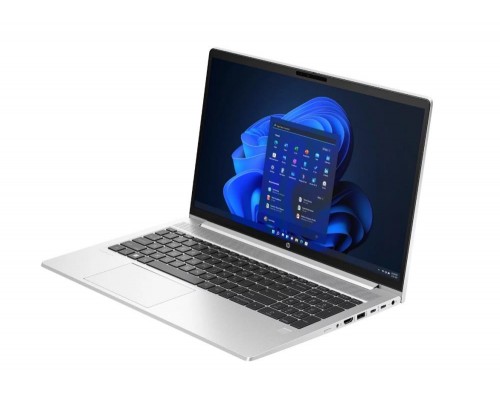 Ноутбук HP ProBook 450 G10 85C40EA#BH5