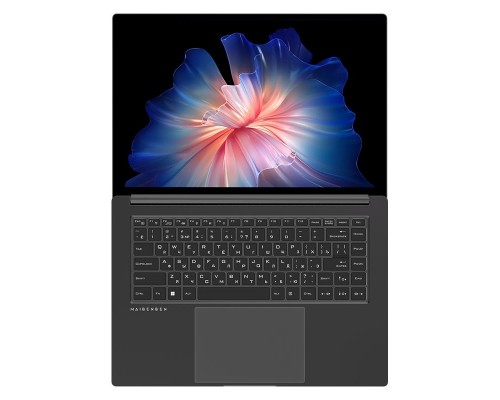 Ноутбук Maibenben P625 P625QSF0HGRE0 Ноутбук Maibenben P625 P625QSF0HGRE0