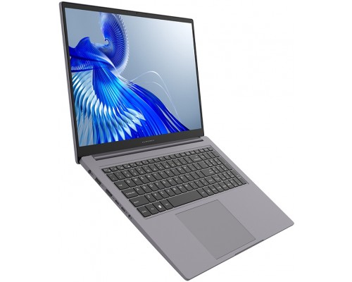 Ноутбук Maibenben P725 P7251SG0HGRE0 Ноутбук Maibenben P725 P7251SG0HGRE0
