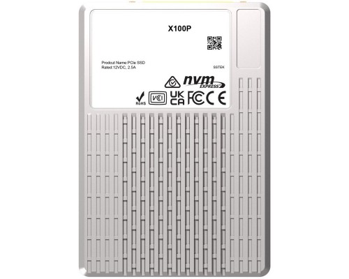 Твердотельный накопитель Phison SSD X100P 30720GB OEM