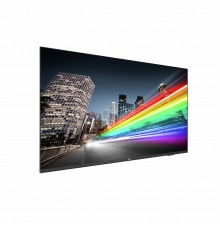 Профессиональная панель Philips 65BFL2214/12 65
