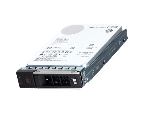Жесткий диск Dell PowerEdge 24TB 161-BCNJ