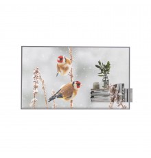 Прозрачный сенсорный монитор LG 55