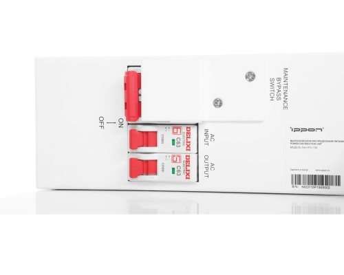 Источник бесперебойного питания Ippon Na+ RTA 10K