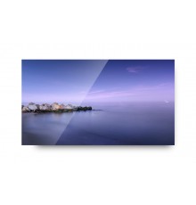 Модуль видеостены Goodview 55