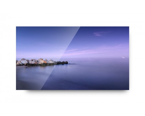 Модуль видеостены Goodview 55