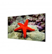 Профессиональная панель Hikvision 55