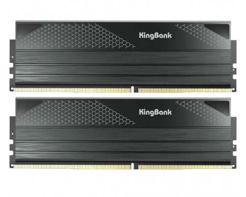 Модуль памяти DDR5 Kingbank 32GB (2x16Gb) K5.01.FLA5ED9401